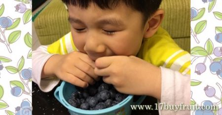 盛夏新鮮有機藍莓正甜美，今夏再吃一次！
