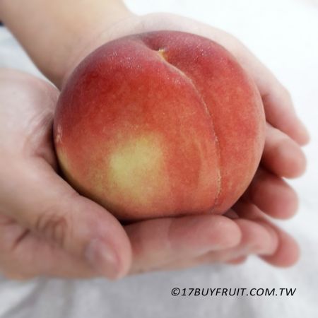 17BUY美國洛磯山直送白水蜜桃，產季最大顆，欲罷不能中秋前立刻追加！