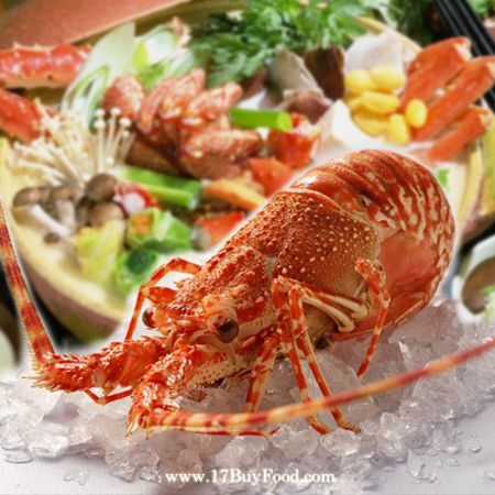 冷冷耶誕在家吃龍蝦火鍋─莫三比克生凍直送【浪漫玫瑰龍蝦】，輕鬆準備耶誕晚餐最後一天