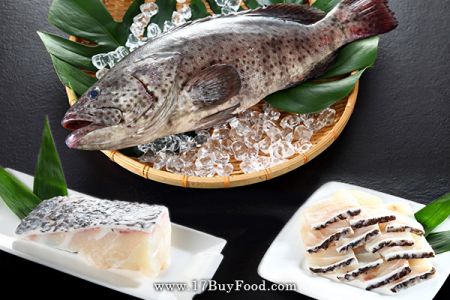 產地直送Q彈鮮美石斑魚 滿額送100元