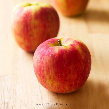 【產季首批】｛華盛頓有機富士蘋果｝本季最新到、現採清脆、 滿室香甜，原裝箱80 顆或禮盒裝20 顆都