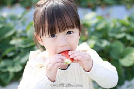 ｛有機鮮草莓｝從今天起安心大口吃草莓！每日現採直送，先訂先吃，老客戶現折$100@17BuyFrui