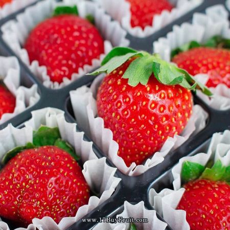 有機栽種的鮮草莓，世上最甜美安心的珠寶盒，每日現採真心交付，免運費@17BuyFruit.com 或
