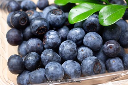 ｛紐西蘭新鮮有機藍莓｝年後高纖解油膩，天然護眼聖品，老客戶每箱現折$100 @17BuyFruit.