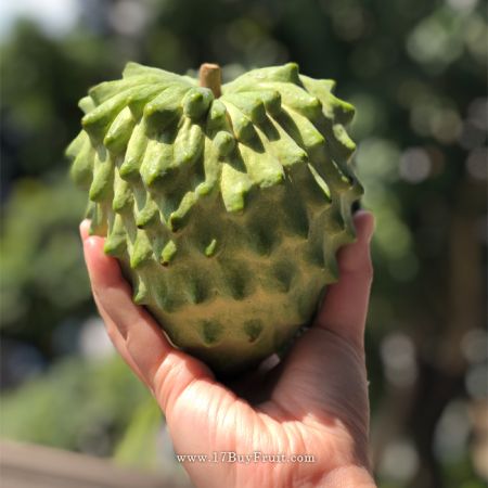 【免運費・再送$100】｛日出鳳梨釋迦｝，甜蜜爆表@17BuyFruit.com