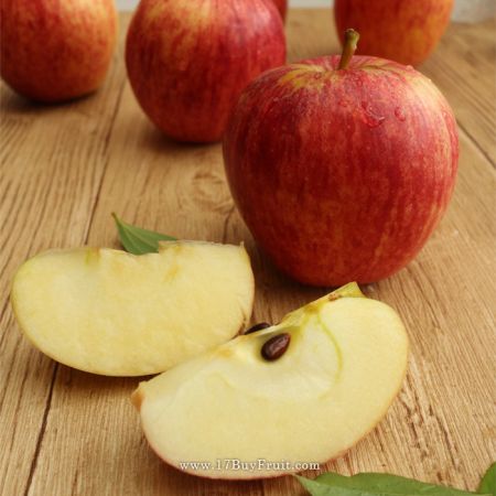 【僅此一批】｛紐西蘭有機Gala蘋果｝新鮮採摘營養素，病毒遠離你 @17BuyFruit.com