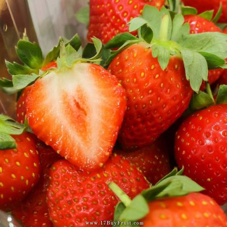 【安心不貴】｛有機鮮草莓｝免運費，當日現摘直送，大口吃有機無毒最安心 @17BuyFruit.com