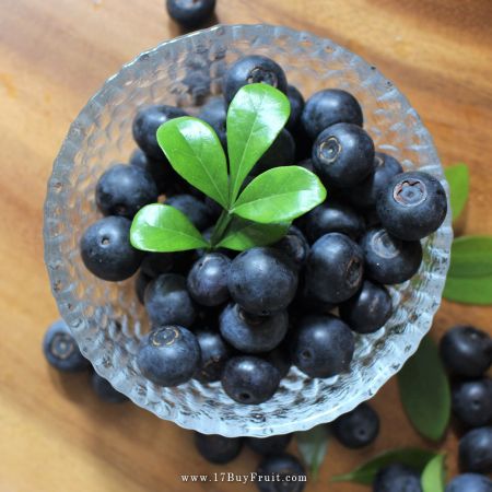 【夏日有機・空運直送】最新採摘｛美國新鮮有機藍莓｝高纖低熱量，甜酸涮嘴，老客戶現折$100
