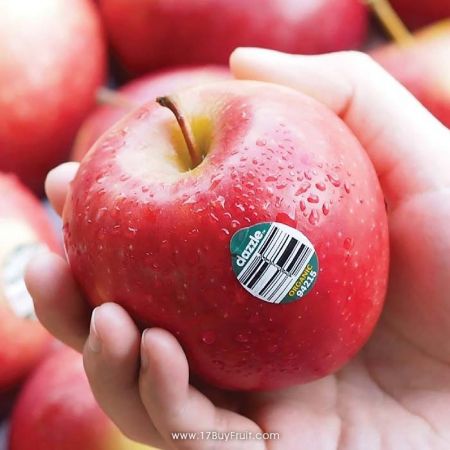 送給媽咪❤現折再免運✨紐西蘭Dazzle 有機蘋果