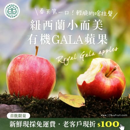 最新蘋果．免運費✨紐西蘭有機Gala❤️咬一口春天的爽脆甜美