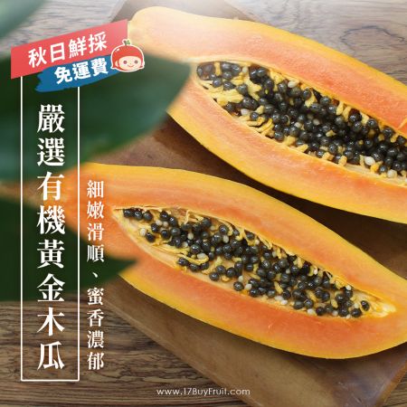 每一口都是大地最純淨溫潤的秋日滋養✨